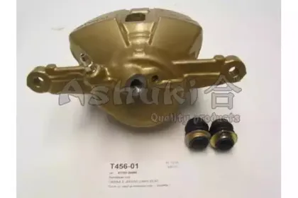 ashuki-t45601