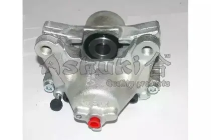 ashuki-t45654