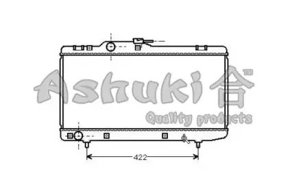 ashuki-t55010