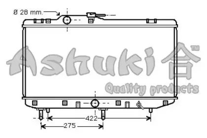ashuki-t55013