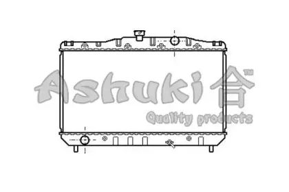 ashuki-t55104