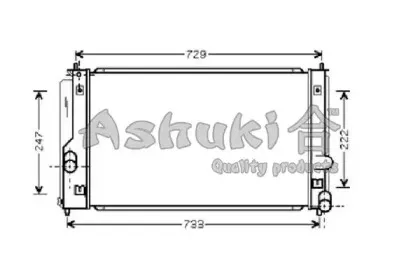 ashuki-t55115