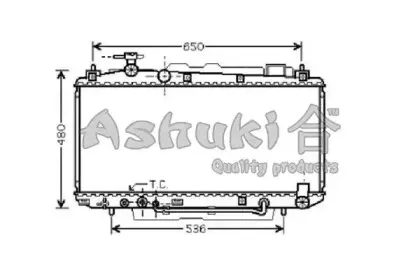 ashuki-t55116