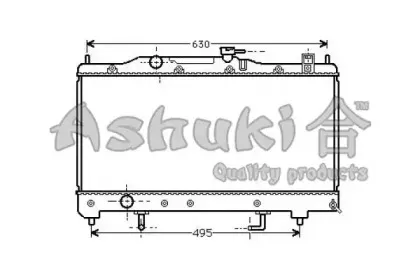 ashuki-t55403