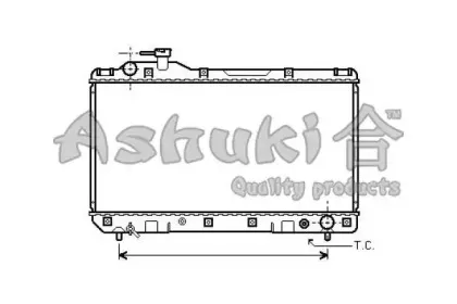 ashuki-t55475