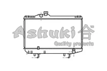 ashuki-t55481
