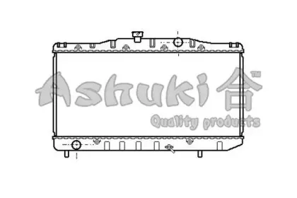 ashuki-t55616