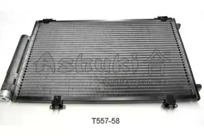 ashuki-t55758