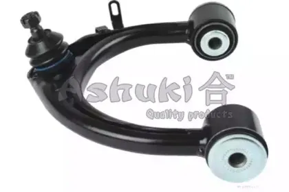 ashuki-t89013
