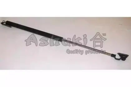 ashuki-t90285