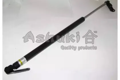 ashuki-t92571