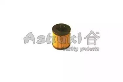 ashuki-us102108