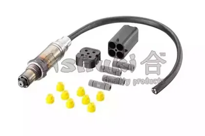 ashuki-us107009