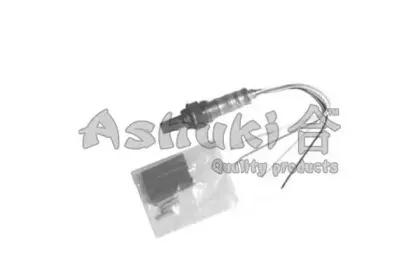 ashuki-us107016