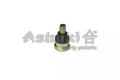 ashuki-us108606