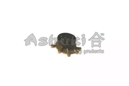 ashuki-us109104