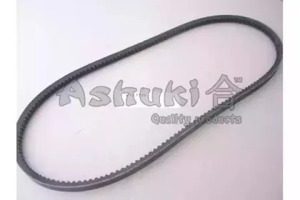 ashuki-v131125