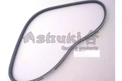 ashuki-v131145