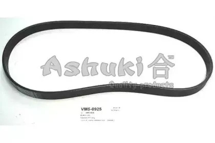ashuki-vm50925