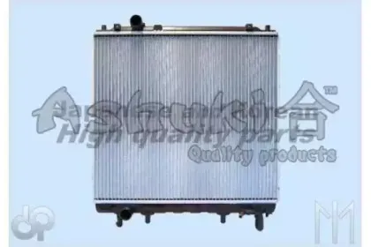 ashuki-y55031