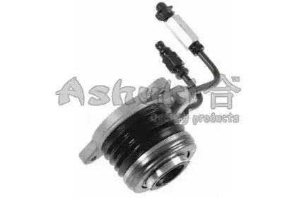 ashuki-y70016