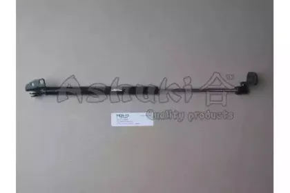 ashuki-y92513