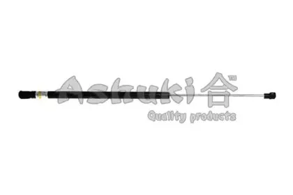 ashuki-y92539