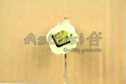 ashuki-b43105