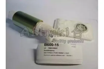 ashuki-b60015