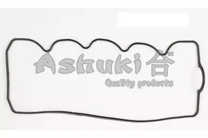 ashuki-c20053