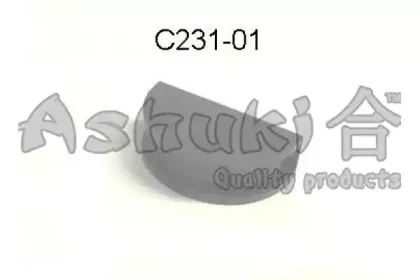 ashuki-c23101