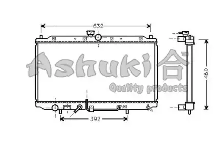ashuki-c55416