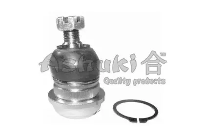 ashuki-c86815