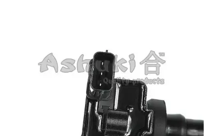 ashuki-c98007