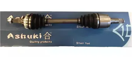 ashuki-i15617