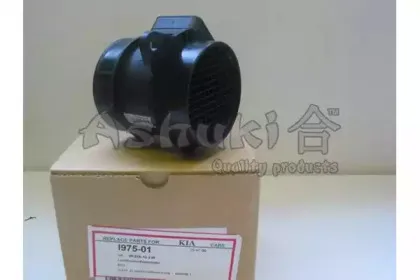 ashuki-i97501