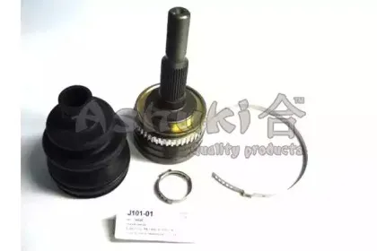 ashuki-j10101
