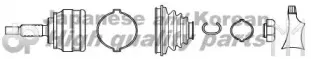 ashuki-j10305