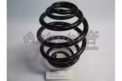 ashuki-j99507