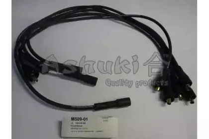 ashuki-m50901