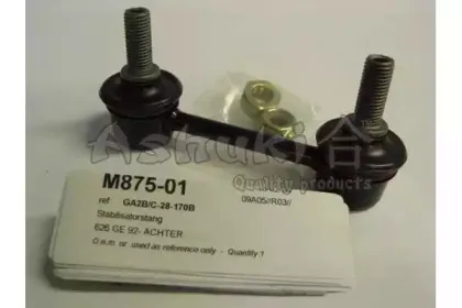 ashuki-m87501
