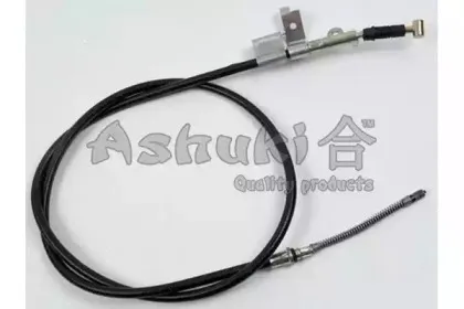 ashuki-n08003