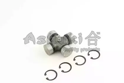 ashuki-n10203