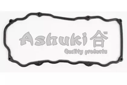 ashuki-n30040
