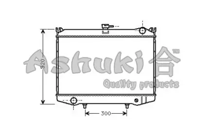 ashuki-n65551