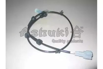 ashuki-n87605