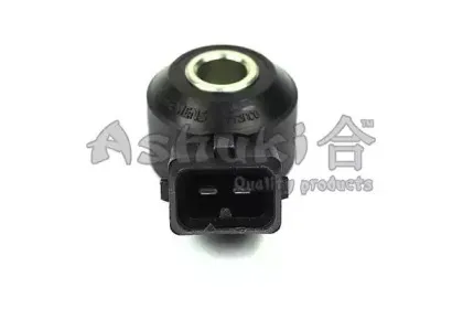ashuki-n92004
