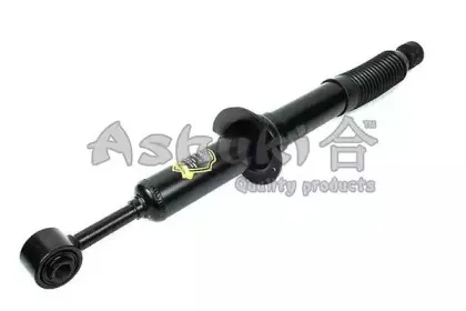 ashuki-t35324