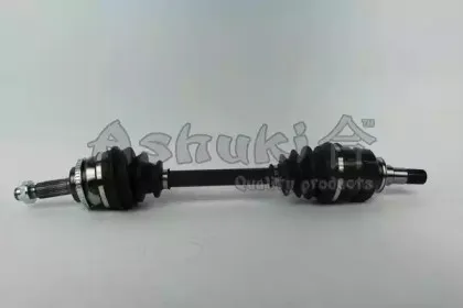 ashuki-t76023