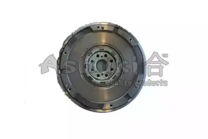 ashuki-t77110